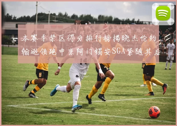 本赛季禁区得分排行榜揭晓杰伦约翰逊领跑申京阿门锡安SGA紧随其后